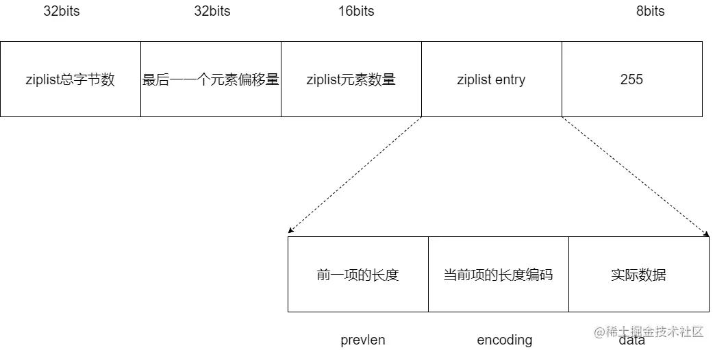 ziplist