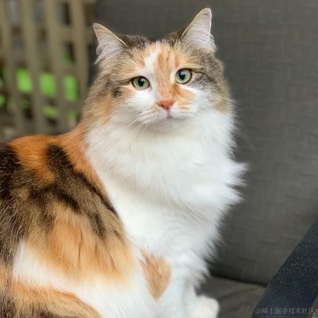 Wei于2022-11-20 23:58发布的图片