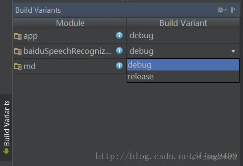 Build Variant
