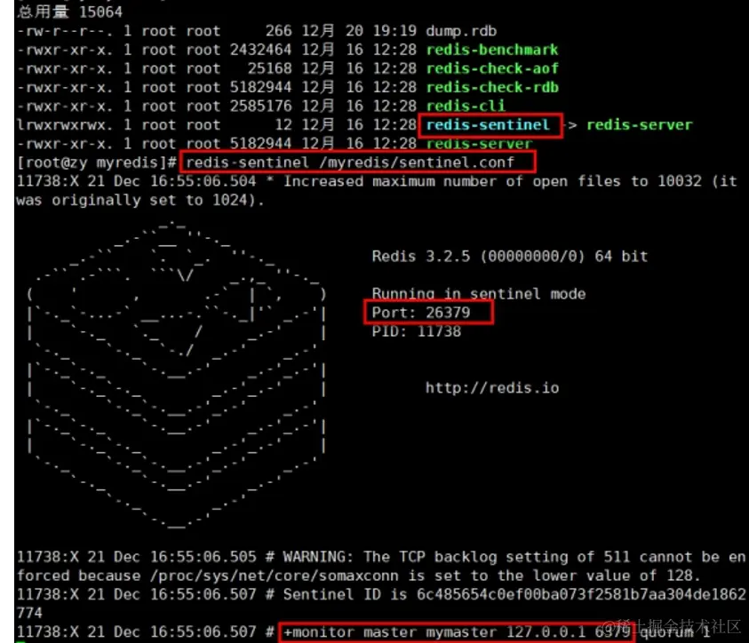 image-20211205183833740