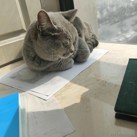 北冥养条鱼于2022-11-25 12:46发布的图片