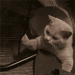 闪珊于2022-11-09 16:07发布的图片