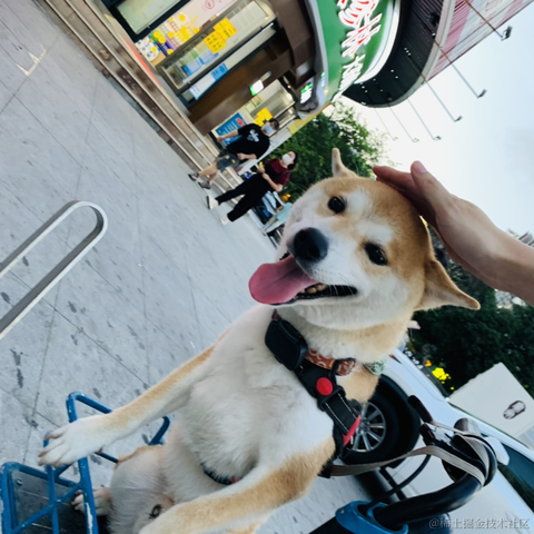 清汤饺子于2021-06-22 08:53发布的图片