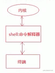 Shell 掘金