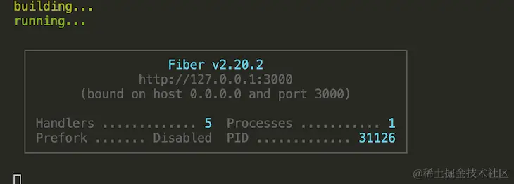 Import Go Package Air