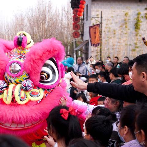 bug菌于2023-02-06 10:08发布的图片