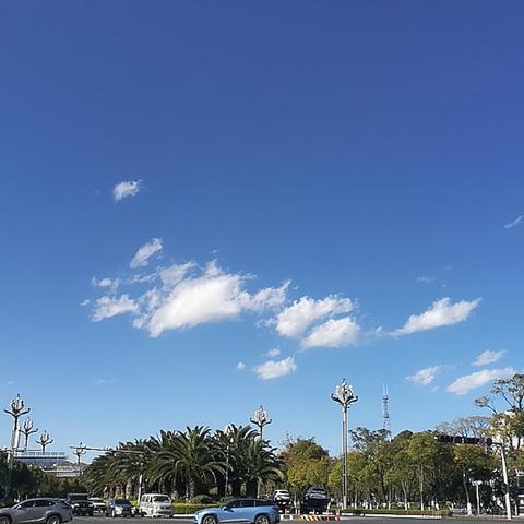 萌哒哒的奇葩羞答答的来于2022-11-17 16:48发布的图片