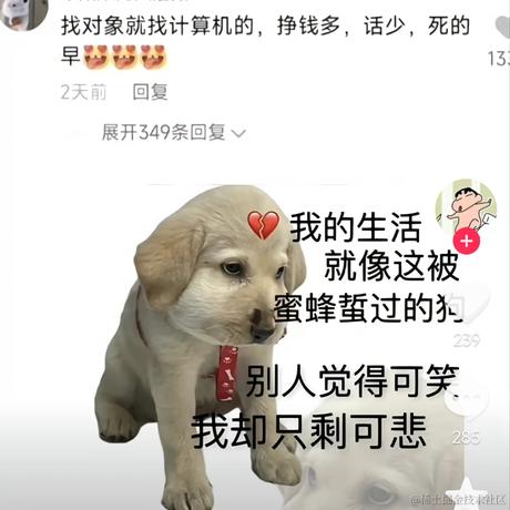 懒羊羊学技术于2023-01-23 23:28发布的图片