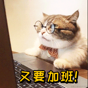 Aly于2021-12-17 15:41发布的图片