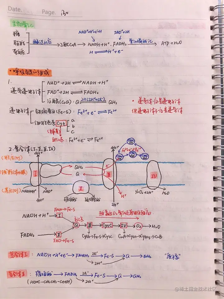 生化手写笔记.pdf