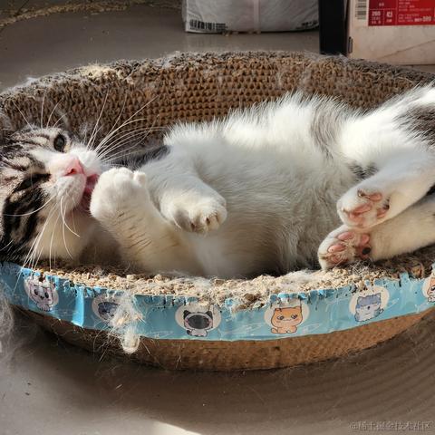 已注销于2023-05-17 08:47发布的图片