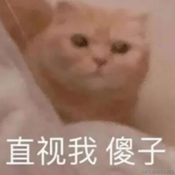 jnpfsoft于2023-02-15 15:31发布的图片