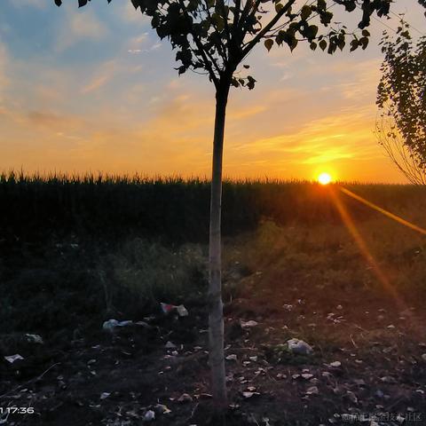 私涙洇于2023-04-16 12:09发布的图片