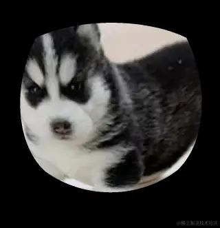 image-20230925162555544