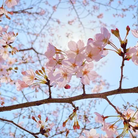 寒草于2021-08-06 11:22发布的图片