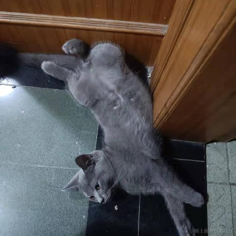 小小明同学于2022-01-07 09:09发布的图片