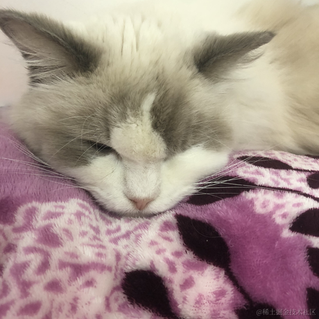 乃1不灭于2022-12-01 11:52发布的图片