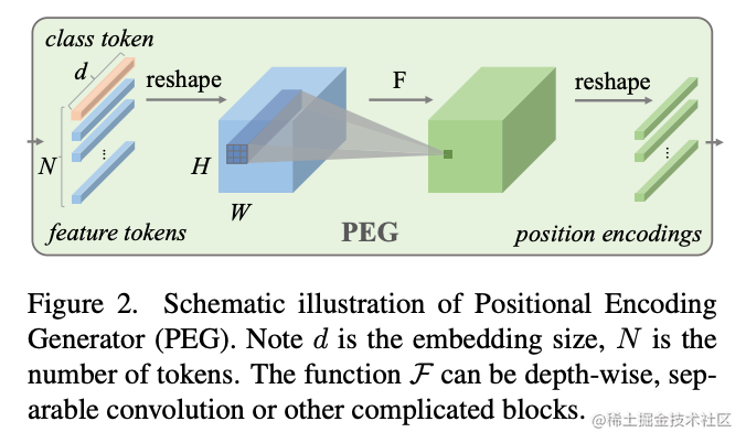 图5 条件位置编码器（PEG）