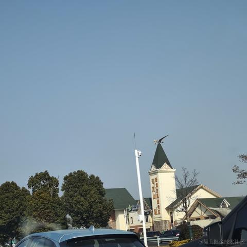 未季言于2023-01-19 11:20发布的图片