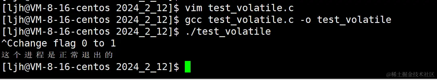 image-20240212003948862