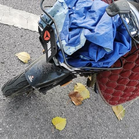 健康顶碗人001于2022-11-21 19:52发布的图片