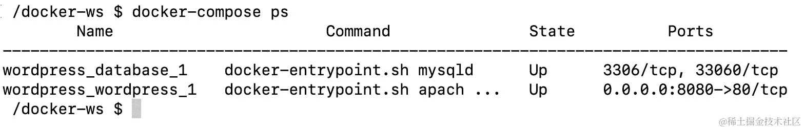 图 5.23：WordPress 和数据库容器