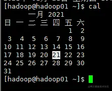 image-20210121104324456