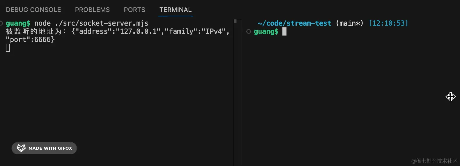 2024-12-17 12.10.59.gif