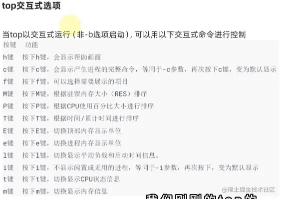 top详解.png