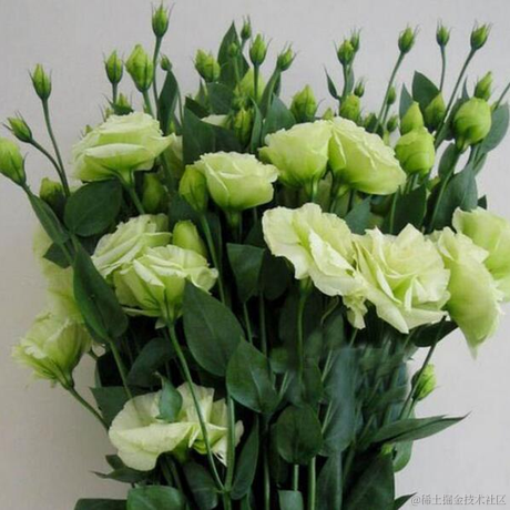 jvav白牙于2023-02-13 16:14发布的图片