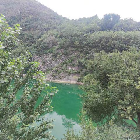 八原妖怪大集合于2023-05-16 13:54发布的图片