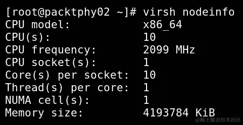 图 15.2 - 关于我们的 KVM 节点的信息