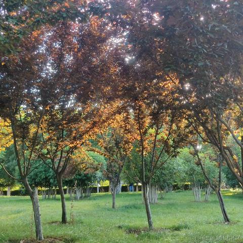 __Petrichor于2024-05-08 17:38发布的图片