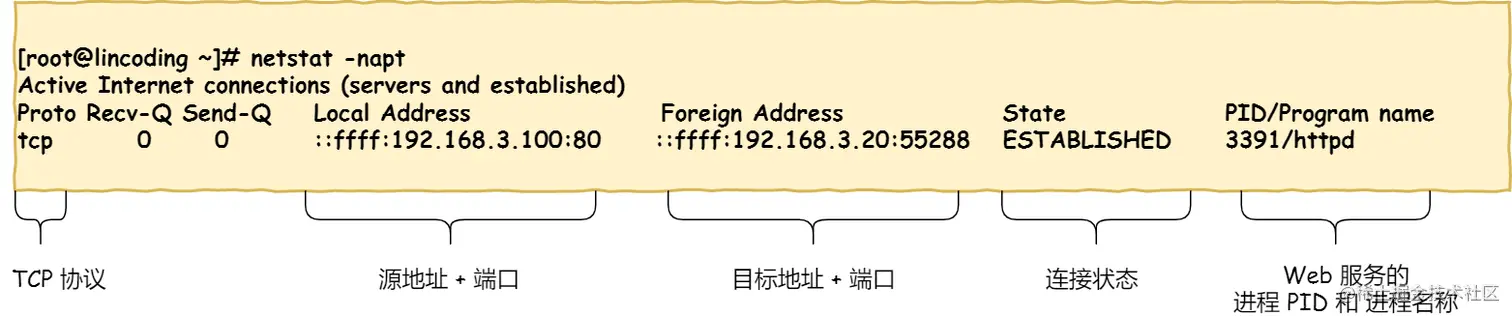 TCP 连接状态查看