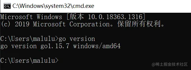 image-20210121112421225