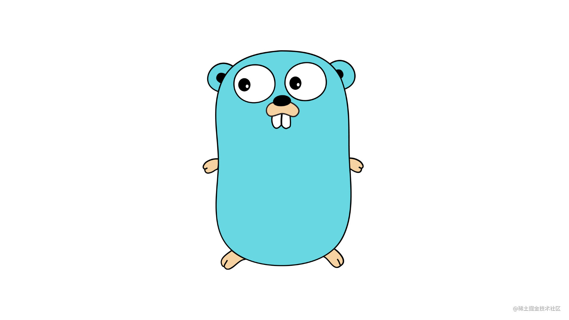 GoLang