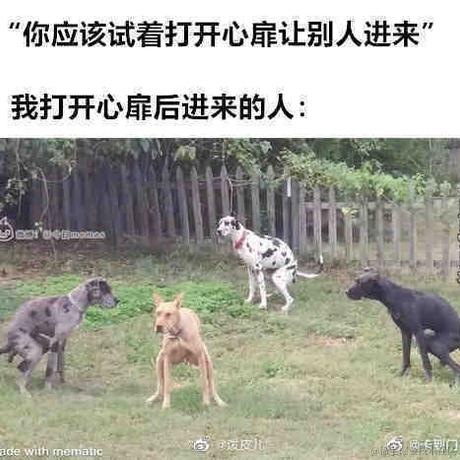 小马冲冲冲于2023-05-03 20:25发布的图片