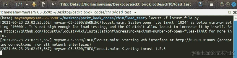 图 10.5—启动 Locust 负载测试后的终端