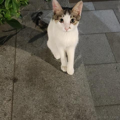 Wei于2022-10-28 23:50发布的图片