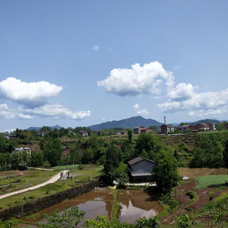 凩晨于2022-04-15 11:15发布的图片