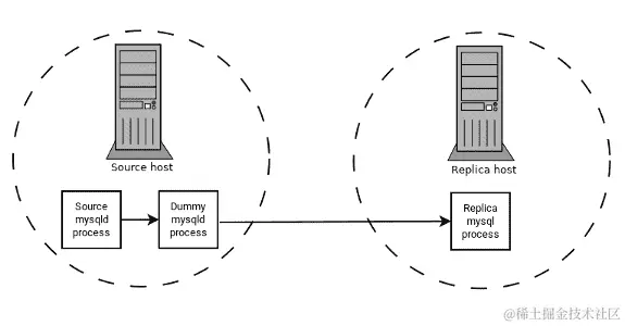 复制源服务器使用源 mysqld 进程和虚拟 mysqld 进程。在副本中，mysqld 进程从虚拟 mysqld 进程复制。