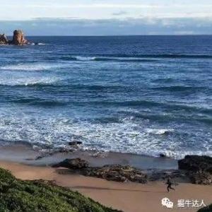 张德发于2023-10-24 17:18发布的图片