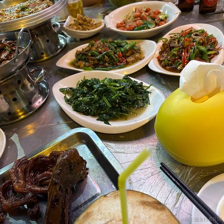 无_妄于2023-06-02 19:16发布的图片