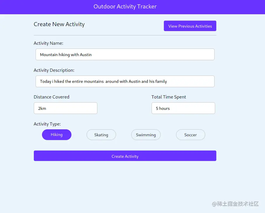 fill the input fields with values for an imaginary activity
