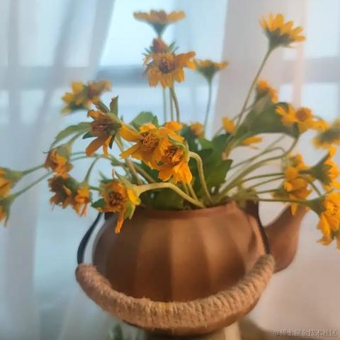 秋天的叶子于2023-06-28 08:36发布的图片