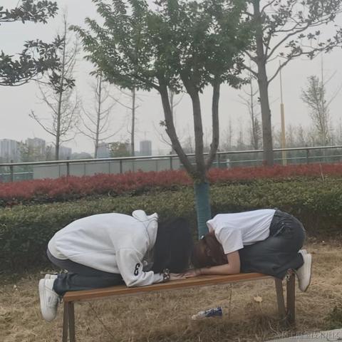 哈哈哈哈_于2023-04-03 19:48发布的图片