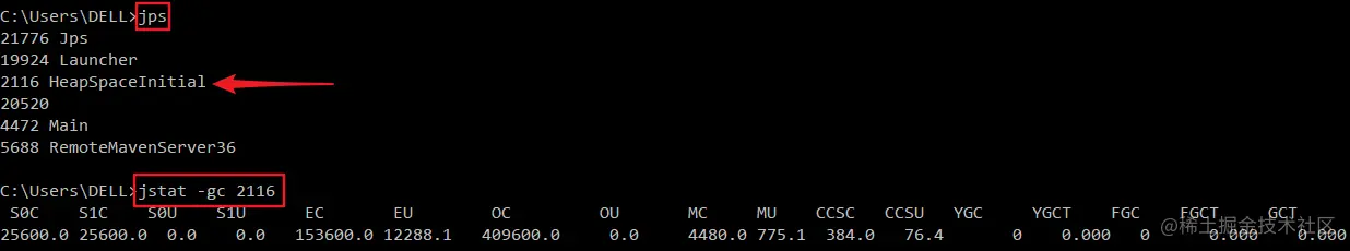 image-20210210132832861