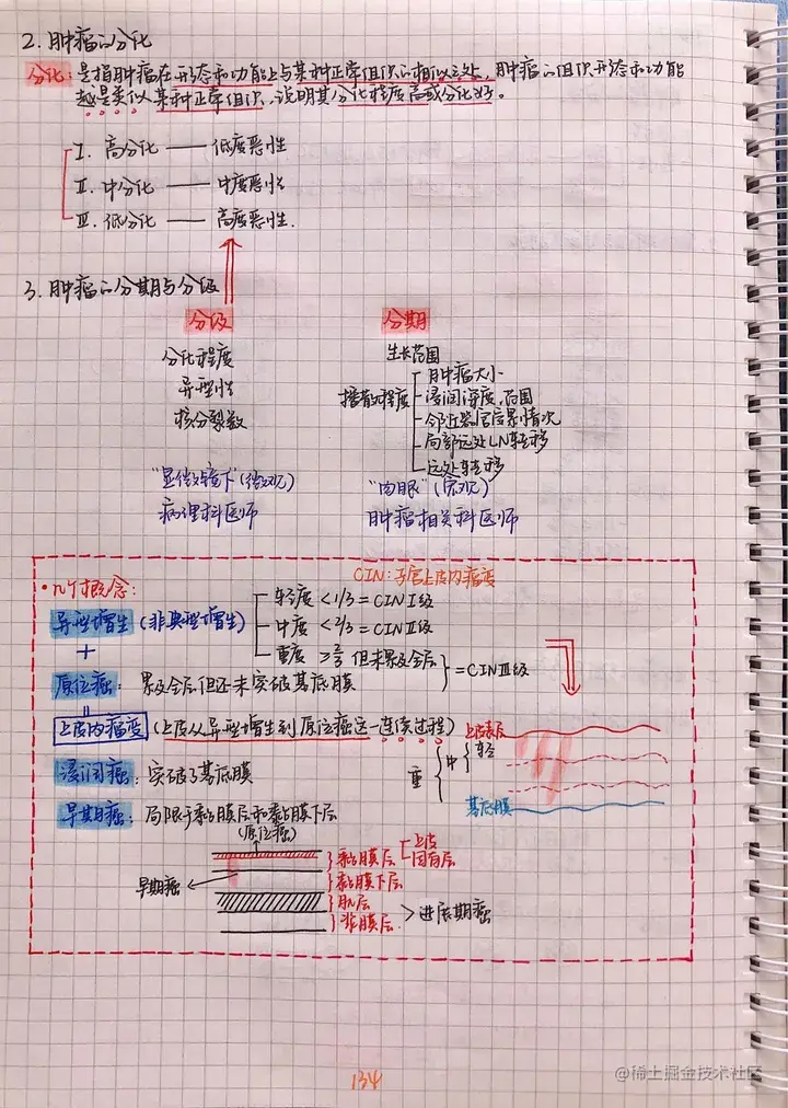 病理手写笔记.pdf