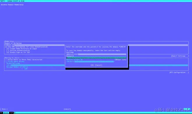 在 YaST 中提供凭据以将机器注册到 Azure AD 域服务