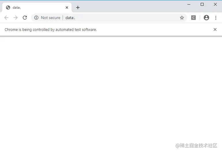Selenium Google Chrome Browser